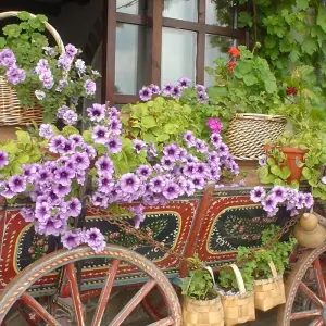 Explore The Best of Bulgaria till Romania ( Bucharest ) / private tour for 5 days with Across Europe Ltd. and discover unforgettable experiences - Photo 2