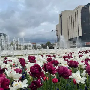 Explore Affordable Sofia & Plovdiv Escape: Two Tours and a Special Dinner Experience for 5 days with Across Europe Ltd. and discover unforgettable experiences - Photo 6