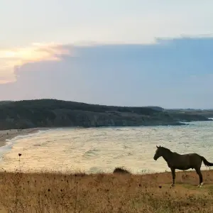 Explore Bulgaria Adventure: A Private Family Journey Through Majestic Mountains, Sun-Kissed Shores, and Timeless Traditions for 12 days with Across Europe Ltd. and discover unforgettable experiences - Photo 9