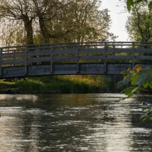 Explore Walk The Cotswolds and Oxford for 6 days with Active England Tours and discover unforgettable experiences - Photo 2