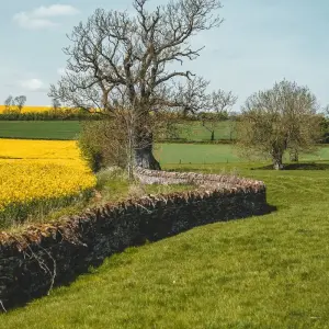 Explore Walk The Cotswolds and Oxford for 6 days with Active England Tours and discover unforgettable experiences - Photo 4