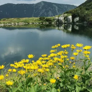 Explore Rila Peaks & Black Sea Shores: A Relaxing Self-Drive Journey Through Bulgaria for 12 days with Across Europe Ltd. and discover unforgettable experiences - Photo 8