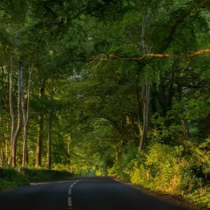 Explore Walk The Cotswolds and Oxford for 6 days with Active England Tours and discover unforgettable experiences - Photo 7