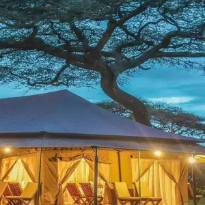 Explore 4 Days Rift Valley Wildlife Safari - Small Group for 4 days with Adventure Makers Tanzania and discover unforgettable experiences - Photo 2