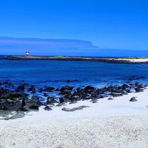 Explore The Best of Ecuador & Galapagos for 12 days with Adventure Journeys and discover unforgettable experiences - Photo 4