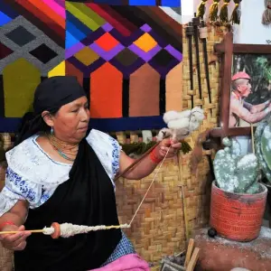 Explore The Best of Ecuador for 7 days with Adventure Journeys and discover unforgettable experiences - Photo 4