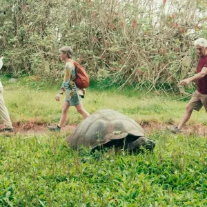 Explore Galapagos Multisport for 10 days with Adventure Journeys and discover unforgettable experiences - Photo 4