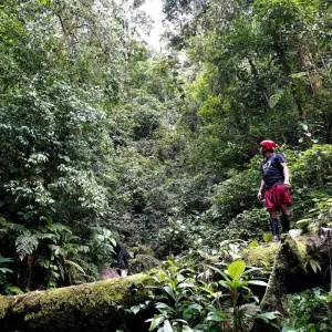 Explore The Best of Ecuador for 7 days with Adventure Journeys and discover unforgettable experiences - Photo 6