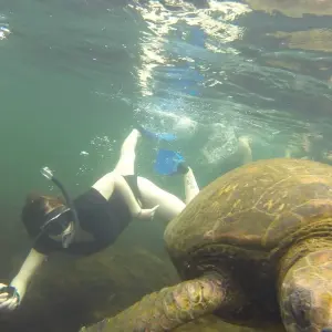 Explore Galapagos and Amazon Quest for 10 days with Adventure Journeys and discover unforgettable experiences - Photo 6