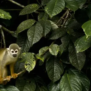 Explore Ecuador Highlights for 10 days with Adventure Journeys and discover unforgettable experiences - Photo 7