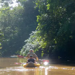 Explore Amazon Camping and Kayaking Discover Yasuni 5-Day for 5 days with Adventure Journeys and discover unforgettable experiences - Photo 5