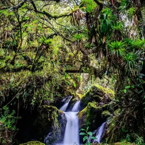 Explore The Best of Ecuador for 7 days with Adventure Journeys and discover unforgettable experiences - Photo 8