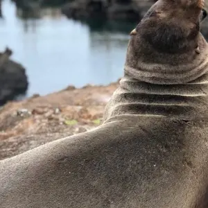 Explore The Best of Ecuador & Galapagos for 12 days with Adventure Journeys and discover unforgettable experiences - Photo 9