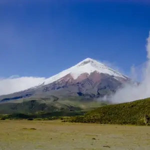Explore The Best of Ecuador for 7 days with Adventure Journeys and discover unforgettable experiences - Photo 10