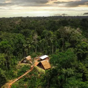 Explore Amazon Camping and Kayaking Discover Yasuni 5-Day for 5 days with Adventure Journeys and discover unforgettable experiences - Photo 8