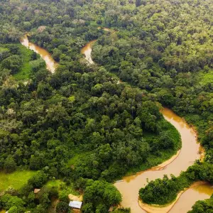 Explore Amazon Camping and Kayaking Discover Yasuni 5-Day for 5 days with Adventure Journeys and discover unforgettable experiences - Photo 9