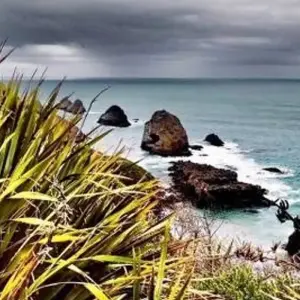 Explore Fiordland & South Coast Gravel for 7 days with Adventure South and discover unforgettable experiences - Photo 2