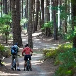 Explore Great Taste Trail & Beyond, Bike, Hike & Sail for 7 days with Adventure South and discover unforgettable experiences - Photo 4