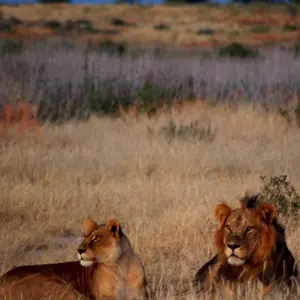 Explore The Wild West of Zambia for 8 days with Adventure Purists Ltd. and discover unforgettable experiences - Photo 9