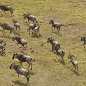 Explore The Wild West of Zambia for 8 days with Adventure Purists Ltd. and discover unforgettable experiences - Photo 10