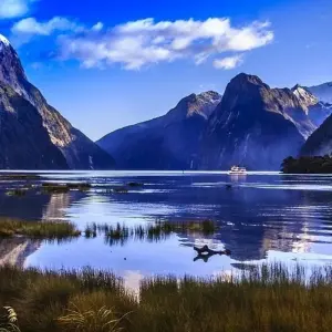 Explore Milford and Fiordland Hike Bike and Kayak for 5 days with Adventure South and discover unforgettable experiences - Photo 10