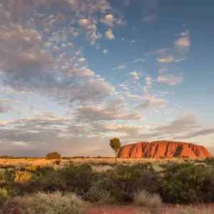 Explore 3 Night Uluru Adventure (Yulara to Yulara) for 4 days with Adventure Tours Australia and discover unforgettable experiences - Photo 6