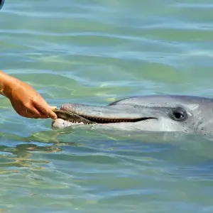 Explore Perth to Broome Adventure for 10 days with Adventure Tours Australia and discover unforgettable experiences - Photo 3