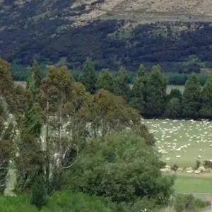 Explore Fiordland & South Coast Gravel for 7 days with Adventure South and discover unforgettable experiences - Photo 7