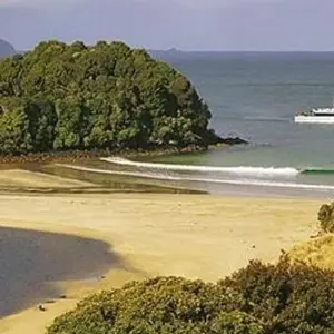 Explore Fiordland & South Coast Gravel for 7 days with Adventure South and discover unforgettable experiences - Photo 8