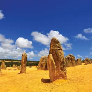 Explore Perth to Exmouth & Return for 7 days with Adventure Tours Australia and discover unforgettable experiences - Photo 5