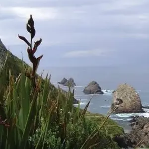 Explore Fiordland & South Coast Gravel for 7 days with Adventure South and discover unforgettable experiences - Photo 9
