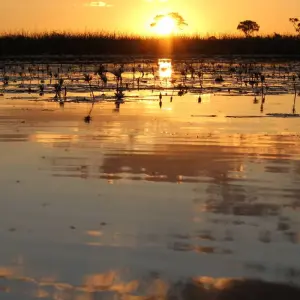 Explore Nairobi To Cape Town 57 Days Overlanding for 57 days with Africa Travel Co. and discover unforgettable experiences - Photo 3