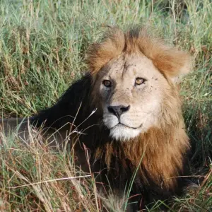 Explore Victoria Falls To Nairobi 22 Days Overlanding for 22 days with Africa Travel Co. and discover unforgettable experiences - Photo 4