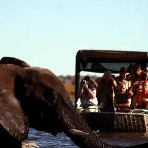 Explore Nairobi To Victoria Falls 22 Days Overlanding for 22 days with Africa Travel Co. and discover unforgettable experiences - Photo 5