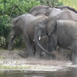 Explore Cape Town To Nairobi 43 Days Overlanding for 43 days with Africa Travel Co. and discover unforgettable experiences - Photo 11