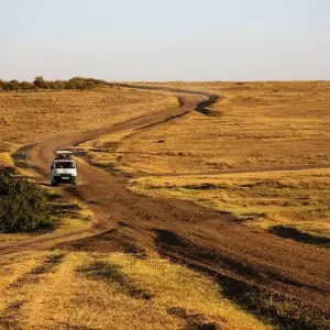 Explore 4 Days Amazing Kenya Safari for 4 days with Africa Venture Safaris and discover unforgettable experiences - Photo 4