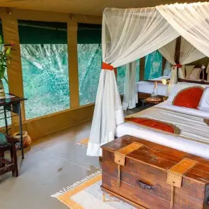 Explore 4 Days Masai Mara Bush Camp 5* Safari for 4 days with Africa Venture Safaris and discover unforgettable experiences - Photo 2