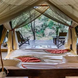 Explore 4 Days Masai Mara Bush Camp 5* Safari for 4 days with Africa Venture Safaris and discover unforgettable experiences - Photo 3