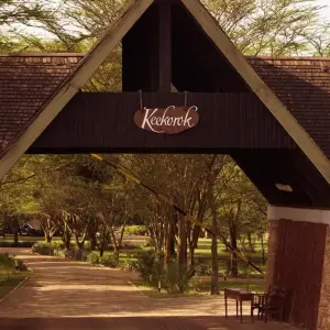 Explore 4 Days Masai Mara Flying Safari - Keekorok Lodge for 4 days with Africa Venture Safaris and discover unforgettable experiences - Photo 5