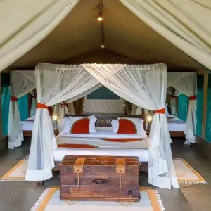 Explore 4 Days Masai Mara Bush Camp 5* Safari for 4 days with Africa Venture Safaris and discover unforgettable experiences - Photo 5