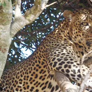Explore Kenya and Tanzania Overland Safari - 14 Days for 14 days with Africa Venture Safaris and discover unforgettable experiences - Photo 9