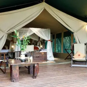 Explore 4 Days Masai Mara Bush Camp 5* Safari for 4 days with Africa Venture Safaris and discover unforgettable experiences - Photo 7
