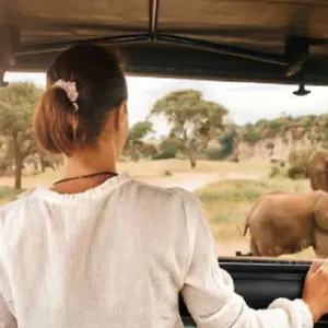 Explore Join us Serengeti Safari Experience 2-Day Tour Adventure with Reasonable Price. for 2 days with Africa Natural Tours and discover unforgettable experiences - Photo 2