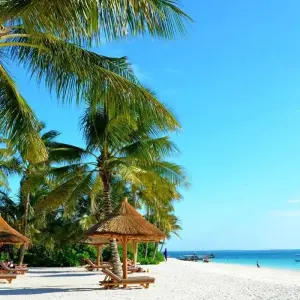 Explore The Ultimate Adventure 8-Day Tanzania Safari and Zanzibar Beach Tour - At affordable Price. for 8 days with Africa Natural Tours and discover unforgettable experiences - Photo 7