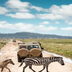 Explore The Best 10 Days Tanzania safari and Zanzibar beach holiday Tour with Reasonable Price for 10 days with Africa Natural Tours and discover unforgettable experiences - Photo 3