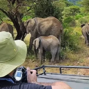 Explore The Best of Africa:7-Day Private Adventure Tour for 2025 & 2026 with Reasonable Price for 7 days with Africa Natural Tours and discover unforgettable experiences - Photo 4