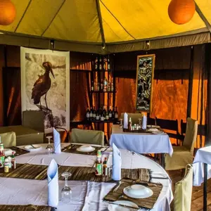 Explore The Ultimate 7-Day Tanzania Big Five Safari: Majesty of Africa's Iconic Wildlife at reasonable Price. for 7 days with Africa Natural Tours and discover unforgettable experiences - Photo 5