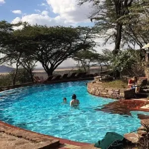 Explore 6 days East and Central Serengeti migration safari: October and November; experience single movement of Wildebeest, Zebra and gazelle for 6 days with Africa Natural Tours and discover unforgettable experiences - Photo 5