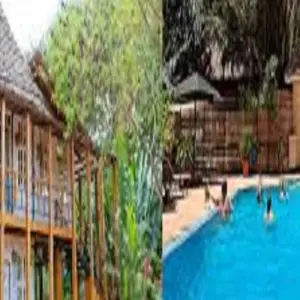 Explore The Ultimate 7-Day Tanzania Big Five Safari: Majesty of Africa's Iconic Wildlife at reasonable Price. for 7 days with Africa Natural Tours and discover unforgettable experiences - Photo 8