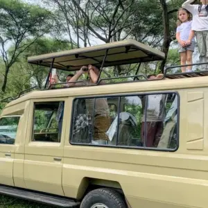 Explore 7-Day Eastern and Central Serengeti Migration Safari for an Unforgettable Adventure. for 7 days with Africa Natural Tours and discover unforgettable experiences - Photo 4